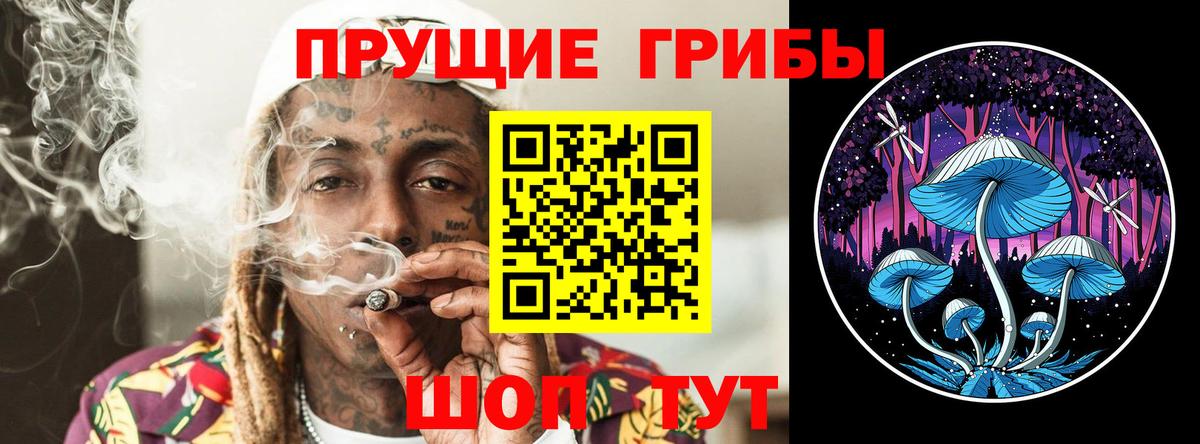 Свободный  купить  сайты  Псилоцибиновые грибы GOLDEN TEACHER  Вход с VPN  Галлюциногенные грибы Cubensis 